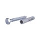 Caracal M8 X 50 Coach Screws & Plug